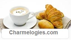 Charme Logies