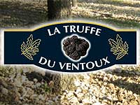 truffes-ventoux