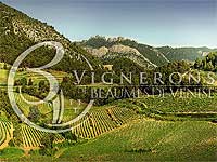 Vigneron de Beaumes de Venise