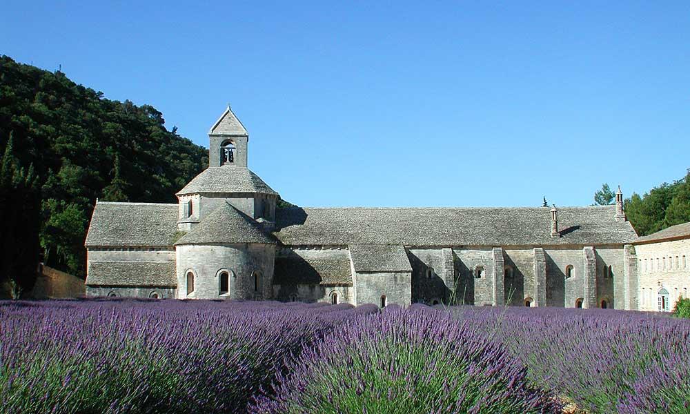 Abbaye de Sénanque